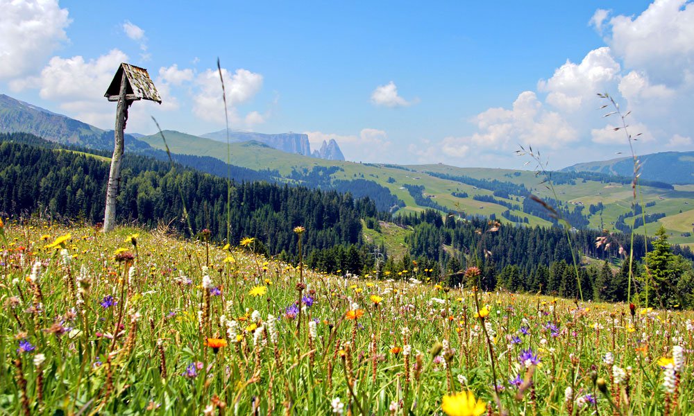 The Alpe di Siusi – the largest and most beautiful mountain plateau in Europe