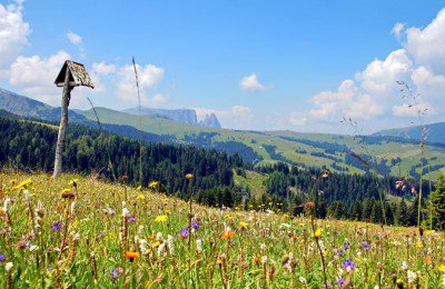 Auf die Seiser Alm