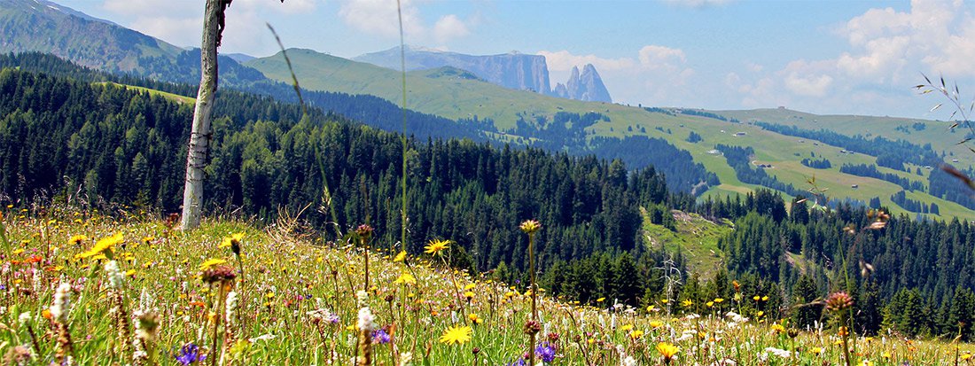 Sommer  und Wanderurlaub in den Dolomiten